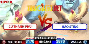 Video Trận 35 CPC2 27/4/2025 - Cu Thạnh Phú Và Bảo Sting