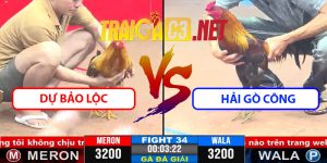Video Trận 34 CPC3 1/4/2025 Dự Bảo Lộc Gặp Hải Gò Công