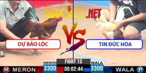 Video Trận 13 CPC3 8/4/2025 - Dự Bảo Lộc Gặp Tin Đức Hòa