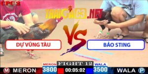 Video Trận 12 CPC2 27/4/2025 - Dự Vũng Tàu Gặp Bảo Sting