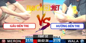 Video Trận 32 CPC3 9/4/2025 - Hưởng Bến Tre Gặp Gấu Bến Tre