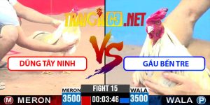 Video Trận 15 CPC3 15/4/2025 - Gấu Bến Tre Hạ Dũng Tây Ninh