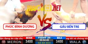 Video Trận 26 CPC3 1/4/2025 Gấu Bến Tre Hạ Phúc Bình Dương