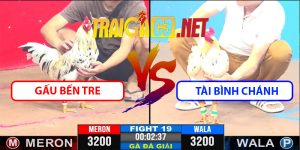 Video Trận 19 CPC3 9/4/2025 - Gấu Bến Tre Và Tài Bình Chánh