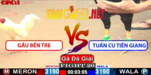 Video Trận 20 CPC1 26/4/2025 - Gấu Bến Tre Gặp Tuấn Cu Tiền Giang