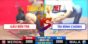 Video Trận 26 CPC3 9/4/2025 - Gấu Bến Tre - Tài Bình Chánh