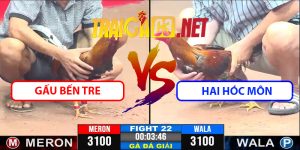 Video Trận 22 CPC3 9/4/2025 - Gấu Bến Tre Gặp Hai Hóc Môn