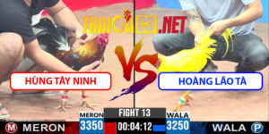 Video Trận 13 CPC3 30/4/2025 - Hùng Tây Ninh Hạ Hoàng Lão Tà