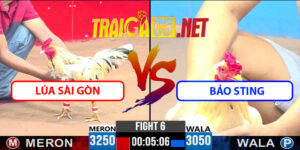 Video Trận 6 CPC3 22/4/2025 - Anh Bảo Sting Lại Nhận Thất Bại