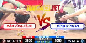 Video Trận 25 CPC3 9/4/2025 - Mắm Vũng Tàu B - Minh Long An