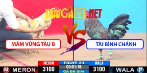 Video Trận 23 CPC3 9/4/2025 - Mắm Vũng Tàu B Và Tài Bình Chánh