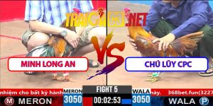 Video Trận 5 CPC3 1/4/2025 - Minh Long An Hạ Chú Lũy CPC