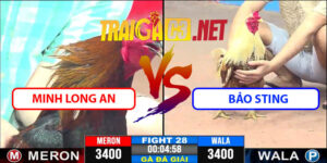 Video Trận 28 CPC3 22/4/2025 - Minh Long An Hòa Bảo Sting