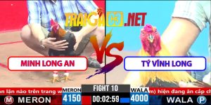 Video Trận 10 CPC3 1/4/2025 - Minh Long Hạ Tý Vĩnh Long