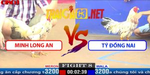 Video Trận 8 CPC1 5/4/2025 - Minh Long An Hạ Tý Đồng Nai