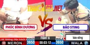 Video Trận 6 CPC3 1/4/2025 - Phúc Bình Dương Lụm 1 Tỷ Bảo Sting