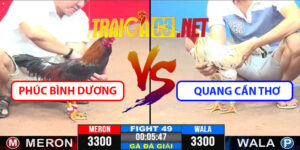 Video Trận 49 CPC3 22/4/2025 - Phúc Bình Dương Dẫn Đầu 9đ