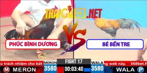 Video Trận 17 CPC3 1/4/2025 - Phúc Bình Dương Hạ Bé Bến Tre