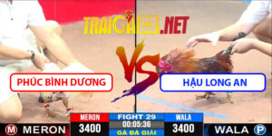 Video Trận 29 CPC3 22/4/2025 - Phúc Bình Dương Lụm Hậu Long An