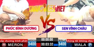 Video Trận Số CPC3 1/4/2025 - Phúc Bình Dương Hạ Sen Vĩnh Châu
