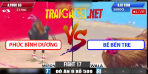 Video Trận 17 CPC3 22/4/2025 - Phúc Bình Dương Lụm Lại 500 Bé Bến Tre