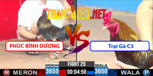 Video Trận 25 CPC3 22/4/2025 - Phúc Bình Dương Lụm Nhẹ Tan 500TR