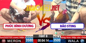 Video Trận 8 CPC3 1/4/2025 - Phúc Bình Dương Lụm Thêm 500 Triệu