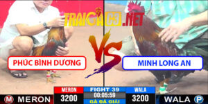 Video Trận 39 CPC3 22/4/2025 - Phúc Bình Dương Hạ Minh Long An