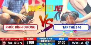 Video Trận 46 CPC3 1/4/2025 Phúc Bình Dương Gặp Tập Thể 246