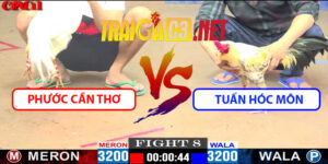 Video Trận 8 CPC1 26/4/2025 - Phước Cần Thơ Gặp Tuấn Hóc Môn
