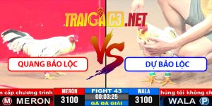 Video Trận 43 CPC3 1/4/2025 Quang Bảo Lộc Và Dự Bảo Lộc