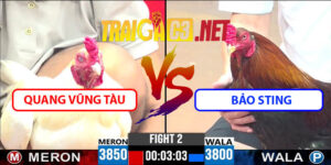Video Trận 3 CPC3 22/4/2025 - Quang Vũng Tàu Đá Với Bảo Sting