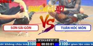 Video Trận 7 CPC1 5/4/2025 - Sơn Sài Gòn Gặp Tuấn Hóc Môn