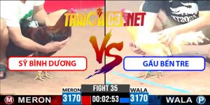 Video Trận 35 CPC3 9/4/2025 - Sỹ Bình Dương Vs Gấu Bến Tre