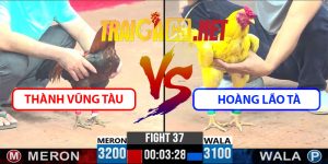 Video Trận 37 CPC3 7/4/2025 - Thành Vũng Tàu Gặp Hoàng Lão Tà