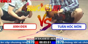 Video Trận 43 CPC1 3/4/2025 - Tuấn Hóc Môn Gặp Tính Gaking