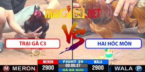 Video Trận 29 CPC3 9/4/2025 - Trận Chung Kết Đầy Kịch Tính