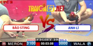 Video Trận 10 CPC2 11/4/2025 - Bảo Sting Gặp Anh Lì