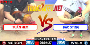 Video Trận 18 CPC2 18/4/2025 - Bảo Sting Có Trận Thắng Đầu Tiên