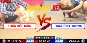 Video Trận 3 CPC1 17/4/2025 - Tuấn Hóc Môn Gặp Tâm Bình Dương