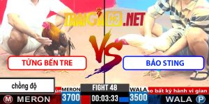 Video Trận 48 CPC3 1/4/2025 - Tửng Bến Tre Và Bảo Sting
