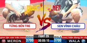 Video Trận 29 CPC3 1/4/2025 Tửng Bến Tre Vs Sen Vĩnh Châu