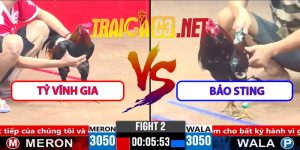 Video Trận 2 CPC3 1/4/2025 - Tỷ Vĩnh Gia Gặp Bảo Sting