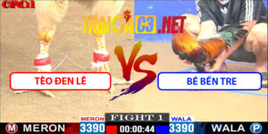 Video Trận 1 CPC1 26/4/2025 - Tèo Đen Lê Gặp Bé Bến Tre