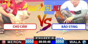 Video Trận 2 CPC2 18/4/2025 - Tý Chùa Thả Gà Hạ Chú Cấm