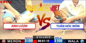Video Trận 20 CPC2 18/4/2025 - Anh Lượm Đụng Tuấn Hóc Môn