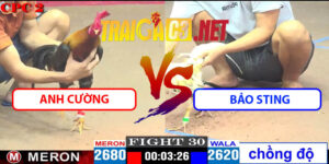 Video Trận 30 CPC2 18/4/2025 - Anh Cường Gặp Bảo Sting