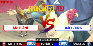 Video Trận 33 CPC2 18/4/2025 - Anh Lành Và Bảo Sting