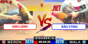 Video Trận 4 CPC2 18/4/2025 - Anh Lành Gặp Anh Bảo Sting