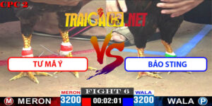 Video Trận 6 CPC2 4/5/2025 - Tư Mã Ý Gặp Bảo Sting